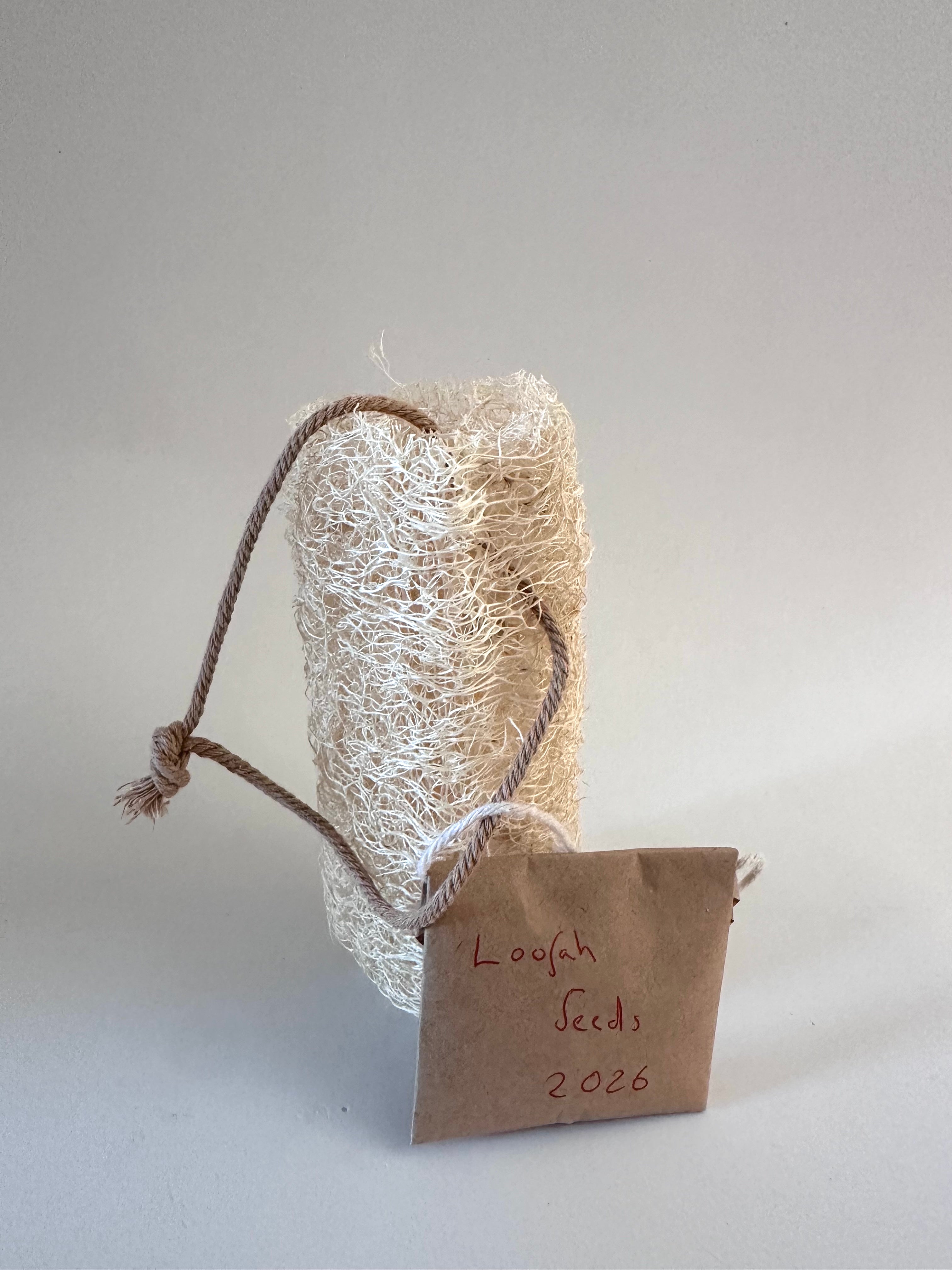 Luffa Scrubber