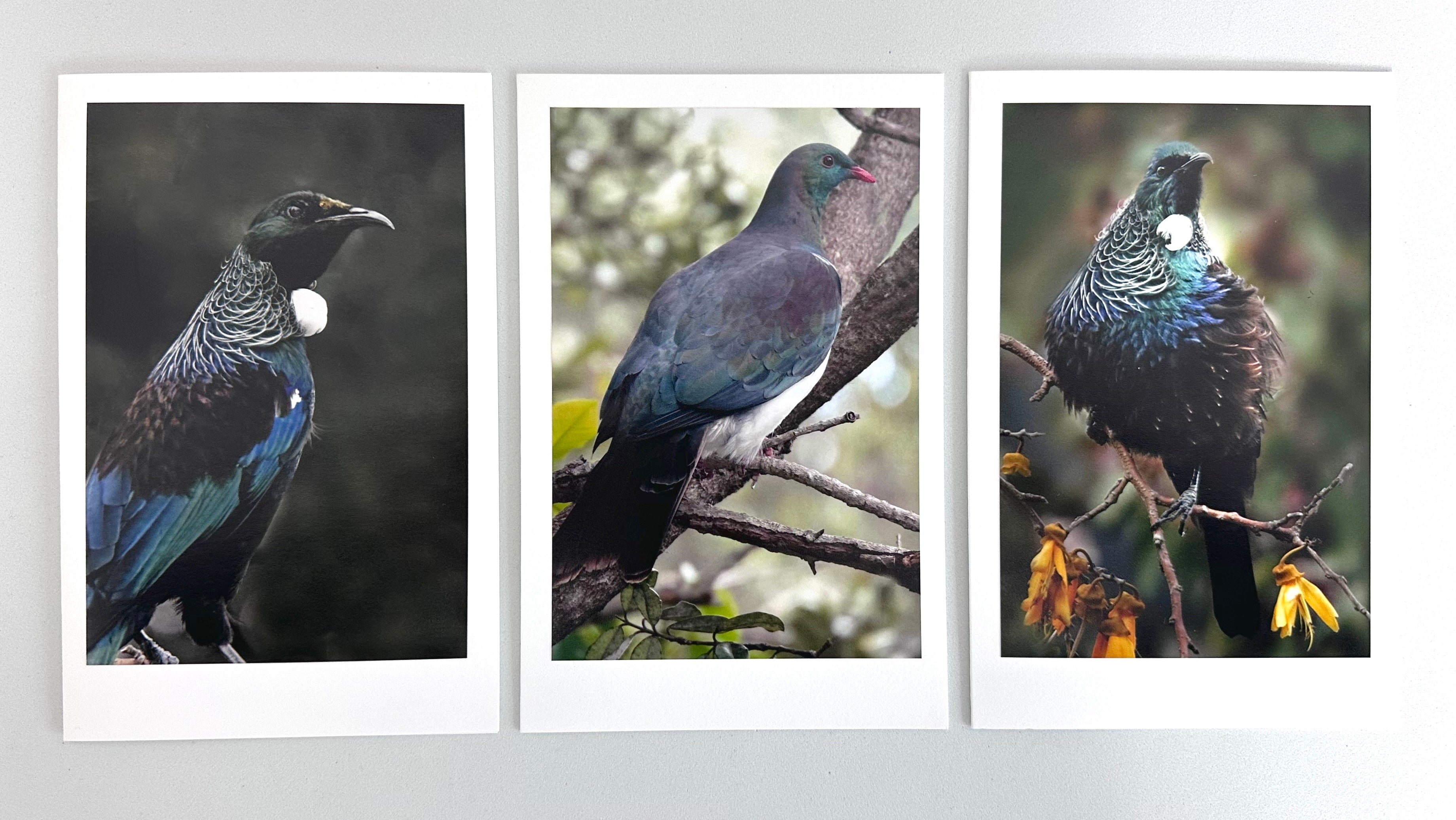 Cards set of 3